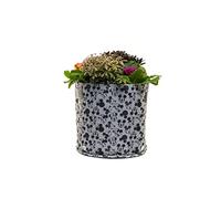 Disney Mickey Mouse & Minnie Mouse Fabric Eco Pots Grey - 9L