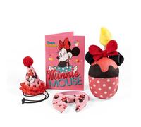 Disney Minnie Mouse Pet Birthday Decoration and Accesories Set with Part Hat, Bow, Cake Toy and Birthday Card