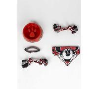 Disney Minnie Puppy Welcome Pack