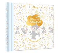 DISNEY - Mon livre de naissance, mes premiers souvenirs (Panpan): Panpan