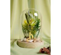 Disney Pastel Princess Florals In A Cloche With Neon Light - Ariel Disney Multicolor