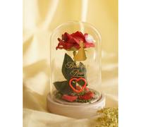 Disney Pastel Princess Florals In A Cloche With Neon Light - Belle Disney Multicolor