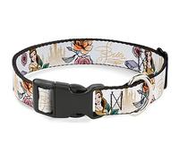 Disney Pet Collar, Dog Collar Plastic Buckle, Beauty and the Beast Belle Castle Pose with Script, 11 to 16.5 Inches 1.0 Inch Wide