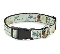 Disney Pet Collar, Dog Collar Plastic Buckle, The Princess and the Frog Tiana Palace Pose with Script Green, 16 to 23 Inches 1.5 Inch Wide
