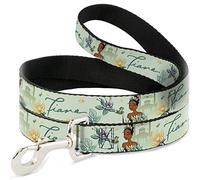 Dog Leash The Princess and The Frog Tiana Palace Pose with Script Green 4 Feet Long 0.5 Inch Wide