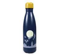 DISNEY PETER PAN METAL DOUBLED WALLED WATER DRINKS BOTTLE NEW WITH TAGS HMB