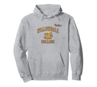 Disney Pixar Onward Willowdale College Logo Pullover Hoodie