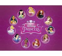 Disney Princess Movie Keepsake Box Set | 11 DVD Box Set