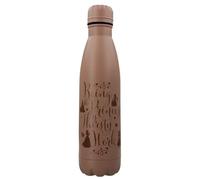 Disney Princess MDB25553 500 ml Steel Drinking Bottle, Multicoloured