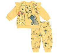Disney Princess Minnie Mouse Winnie the Pooh Rapunzel Eeyore Piglet Toddler Boys Fleece Sweatshirt and Pants Set, lemon tree, 9-12 Months