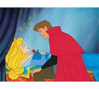 Disney Princess Sleeping Beauty Canvas Print, Multi-Colour, 60 x 80 cm