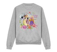Disney Princess Snow White, Pocahontas, Sleeping Beauty Sweatshirt Light Grey | Size: Small Disney Princess Light Grey S