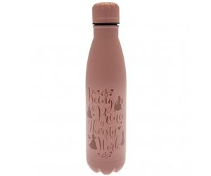 Disney Princess Thermal Flask