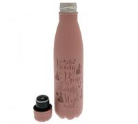 Disney Princess Thermal Flask - UK Seller - Same Day Dispatch