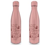 Disney Princess (Thirsty Work) Metal Drinks Bottle 5050574255530 | Brand New
