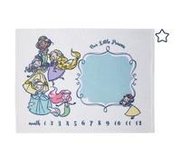 Disney Princess White, Pink, Yellow and Aqua Super Soft Milestone Baby Blanket