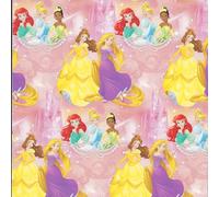 Disney Princess Wrapping Paper 2 Sheets 2 Tags Gift Wrap for Little Girl Birthday | Ariel Belle Tiana Cinderella and Rapunzel