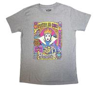 Disney Snow White Evil Queen Rotten To The Core T-Shirt in Grey | Size: Small Disney Grey S