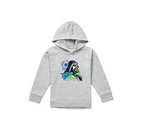 Disney Star Wars Darth Vader Empire Graffiti Youth Kids Pull-Over Hoodie, Athletic Heather in Grey | Size: 5-6 Years Disney Grey 5-6 Years