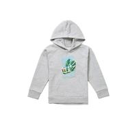 Disney Star Wars Echo Base Attack Youth Kids Pull-Over Hoodie, Athletic Heather in Grey | Size: 12-13 Years Disney Grey 12-13 Years