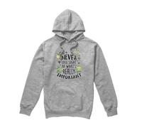Disney The Princess & The Frog Never Lose Sight Hoodie Light Grey | Size: 2XL Disney Light Grey 2XL