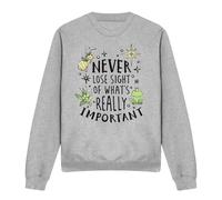 Disney The Princess & The Frog Never Lose Sight Sweatshirt Light Grey | Size: Small Disney Light Grey S