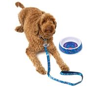 Disney Unisex Blue Stitch Character All Over Print Bowl , Collar , Charm and Lead Gift Set - Small