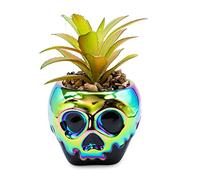 Disney Villains Poison Apple Mini Ceramic Planter with Artificial Succulent