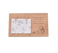Disney Winnie The Pooh Baby Scan Frame - Rustic Wooden Hanging Frame with Clips - New Baby Announcement Gift - Classic Pooh Nursery Decor - Disney Keepsake for Ultrasound Photos