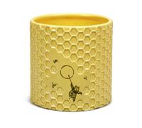 Disney Winnie the Pooh Classic Illustrated High Quality Honeycomb Plant Pot 10cm