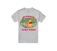 Disney Winnie The Pooh Hundred Acre Wood Badge Unisex T Shirt, Athletic Heather, Medium