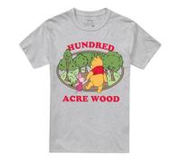 Disney Winnie The Pooh Hundred Acre Wood Badge Unisex T Shirt, Athletic Heather, X-Large