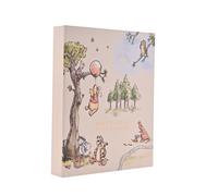 Disney Winnie The Pooh Milestone Album with Cards Disney Multicolor
