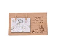 Disney Winnie The Pooh Scan Frame, Baby Gift, Officially Licensed
