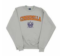 Disney Women's Princess Cinderella Varsity Sweatshirt in Grey | Size: Small Disney Grey S