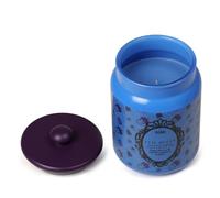 Disney's Villains Inspired Candle - Apple & Black Iris 300G (1-Wick) - Disvic002U