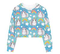 DISNIMO Rainbow Guinea Pig Girls Hoodies Kids Cute Crop Tops Size 9 10 Long Sleeve Shirt Hoody Sweatshirts Pullover Youth Teen Girls Volleyball Cricket Clothing Fall Outfits Jacket Trendy Clothes