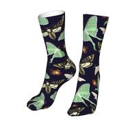 DISNIMOO Moth Butterfly Moon Moth Socks, Novelty Funny Crew Socks Gift for Men Women Teen, Black, One Size