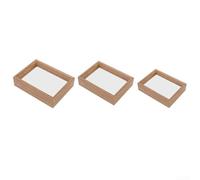 Display Frame with Front and Back Visibility for Plant Specimens Pressed Flowers and Thin Educational Items (10 inches)