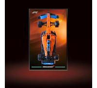 Display Wallboard for L-e*g-o Technic Car F1 for Mc-Laren For-mula 1 42141, Compatible with L-e*g-o, 50*80cm, Wall Mount (B,Basic)