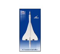 Display Wallboard for Lego 10318 Concorde - Wall Mount Display Stand Art Wall Mount Frame for Concorde Building Set, Ideal Gift for Concorde Enthusiasts - 60 x 120 CM (10318 B)