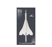 Display Wallboard for Lego 10318 Concorde - Wall Mount Display Stand Art Wall Mount Frame for Concorde Building Set, Ideal Gift for Concorde Enthusiasts - 60 x 120 CM (10318 A)