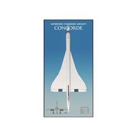 Display Wallboard for Lego 10318 Concorde - Wall Mount Display Stand Art Wall Mount Frame for Concorde Building Set, Ideal Gift for Concorde Enthusiasts - 60 x 120 CM (10318 D)