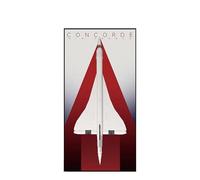 Display Wallboard for Lego 10318 Concorde - Wall Mount Display Stand Art Wall Mount Frame for Concorde Building Set, Ideal Gift for Concorde Enthusiasts - 60 x 120 CM (10318 C)