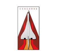 Display Wallboard for Lego 10318 Concorde - Wall Mount Display Stand Art Wall Mount Frame for Concorde Building Set, for Concorde Enthusiasts - 60 x 120 CM (10318 A)