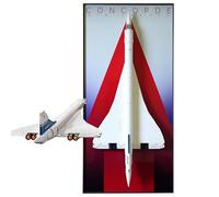 Display Wallboard for Lego 10318 Concorde - Wall Mount Display Stand Art Wall Mount Frame for Racing Car Building Set, Ideal Gift for Car Enthusiasts - 55 x 115 CM (10318)