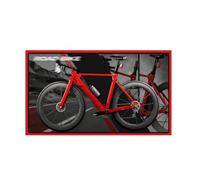 Display Wallboard for Lego 11380 Road bike Building Set, Wall Mount Display Wallboard - Only Display Board, Display Board Compatible with Lego 11380 (Model B (no lights))