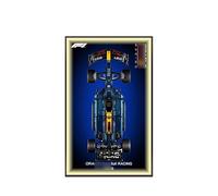 Display Wallboard for Lego 42207 Racing Car 42206 Racing Car - Wall Photo Frame, Display Stand, Wall Mount Frame for Racing Car Building Set, Wall Photo Frame - 80 x 50 CM (42206 +USB Light)