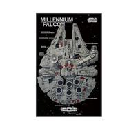 Display Wallboard for Lego 75192 Ultimate Millennium Falcon - Wall Mount Display Stand Art Wall Mount Frame for Racing Car Building Set, for Car Enthusiasts - 50 x 80 CM (75192 A)
