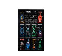 Display Wallboard for Lego 77242-77251 F1 Series Racing Car - Wall Mount Display Stand Art Wall Mount Frame for Racing Car Building Set - 50 x 80 CM (D)